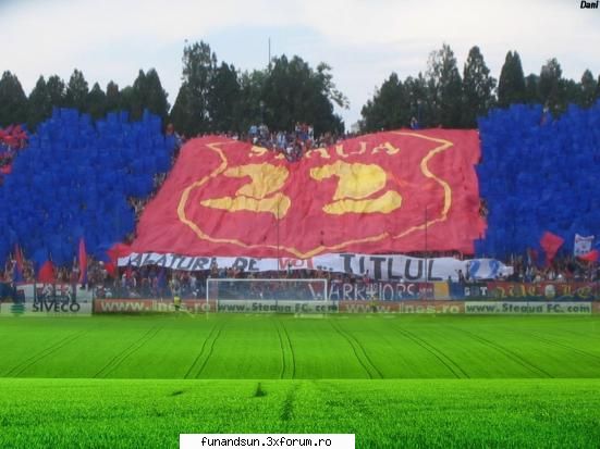 :d  :d  steaua bucuresti